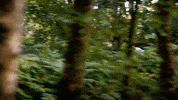 Fun Magic GIF by DeAPlaneta