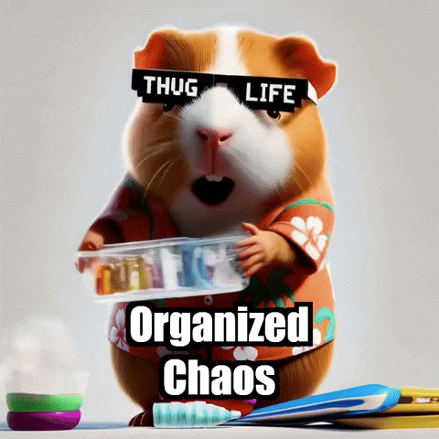 Diy Organization GIF by Guinea Gambino