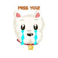 miss you crying Sticker by Petland Florida