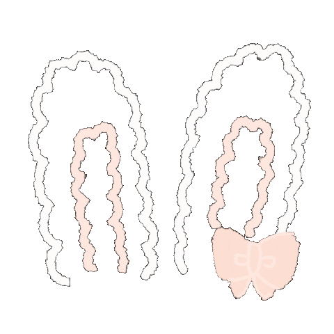 Rabbit 兔子 Sticker
