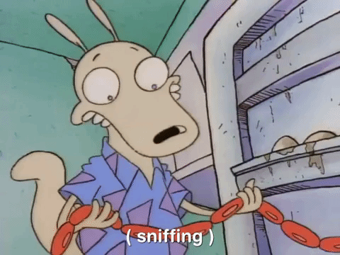 rockos modern life nicksplat GIF