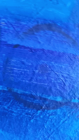 Simongip giphygifmaker GIF