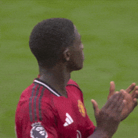 Well Done Applause GIF by Manchester United