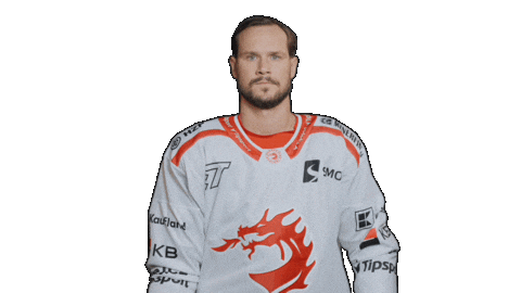 Trinec Sticker by HC Oceláři Třinec