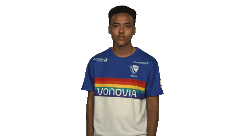 Peace Fifa Sticker by Bundesliga