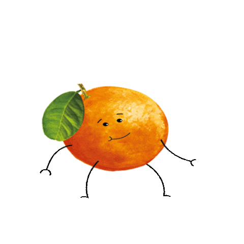 ShloerBGRocks giphyupload orange squash realfruitsquash Sticker