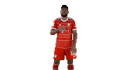 Football Win Sticker by FC Bayern Munich