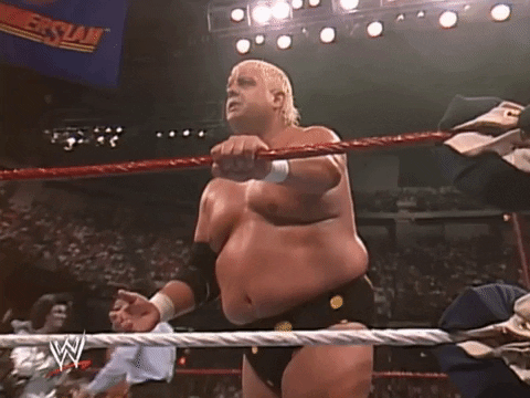 Randy Savage Wrestling GIF by WWE