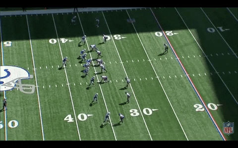 bradyvernon giphygifmaker GIF