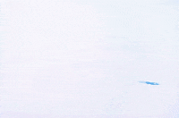 eiichi yamamoto kanashimi no belladonna GIF by Maudit