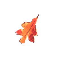 Evelynhenson Sticker