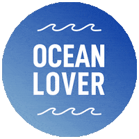 Wave Ocean Sticker by GOT BAG
