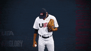 Pro GIF by USA Baseball