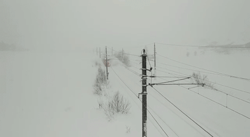 germany snow GIF