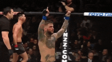 ufc 207 GIF