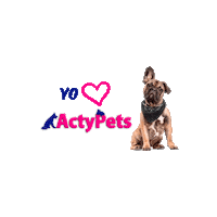 actypets actypets Sticker