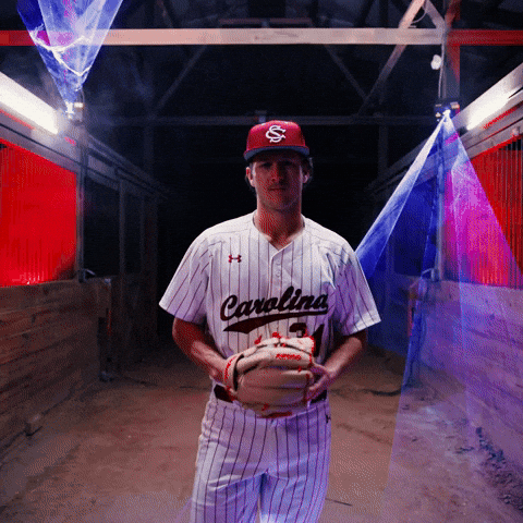 Home Run Celebration GIF by Gamecock Athletics