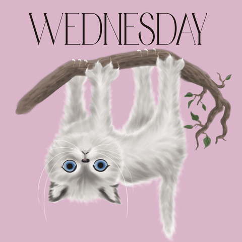 Hang In There Cat GIF by JENDES
