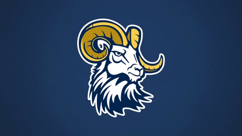 Go Rams GIF by Columbia International University
