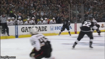 stanley cup playoffs hits GIF by Anaheim Ducks