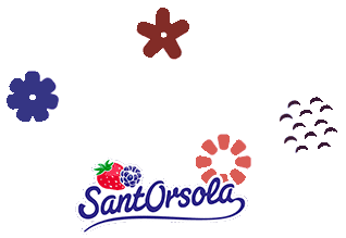 Healty Frutta Sticker by Sant'Orsola