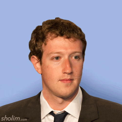 Mark Zuckerberg Gif Art GIF by Sholim