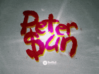 Rap Hiphop GIF by Peter $un
