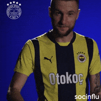 Milan Skriniar GIF by Socinflu