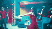 GIF by Signature Entertainment