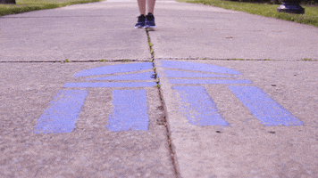 lu lancer GIF by Longwood University