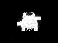 Stick To Your Guns GIF by Pure Noise Records