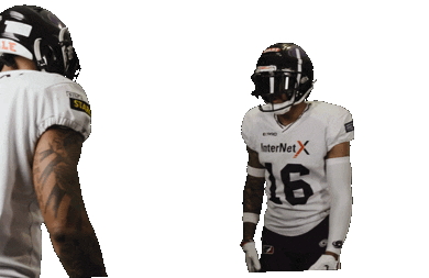 American Football Sticker by Frankfurt Galaxy