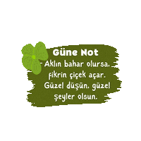 Gonulmihrabi Huzur Sticker