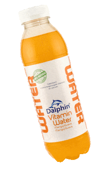Bottle Lifestyle Sticker by Dalphin