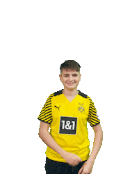 Efootball Eldin Sticker by Borussia Dortmund