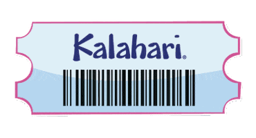 Arcade Kalahari Sticker by kalahariresorts