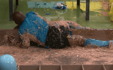 Big Brother Omg GIF