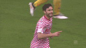jonas hector soccer GIF by 1. FC Köln