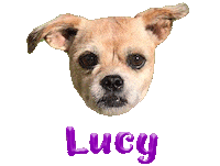 Dog Lucy Sticker
