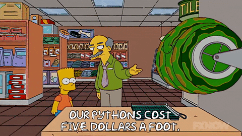 Season 18 Episode 20 GIF by The Simpsons