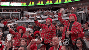 ottawa senators nhl fans GIF by NHL