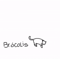 Duracell_duraes cat gato falling caindo GIF