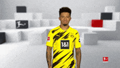 Football Yes GIF by Bundesliga