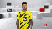 Posing Line Up GIF by Bundesliga