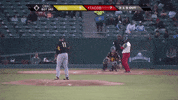 Baseball GIF by Fresno Grizzlies