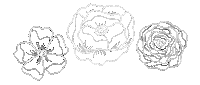 Flower Sticker