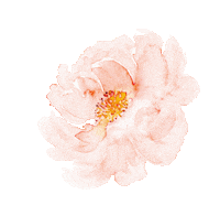 Rosa Flor Sticker by Toque de Capricho