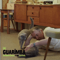 Sad In Love GIF by La Guarimba Film Festival
