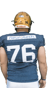 Football Flex Sticker by Dresden Monarchs