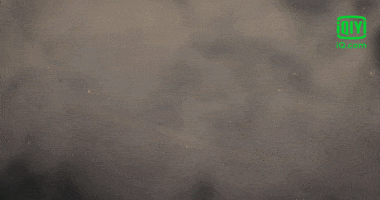 Attack On Titan Girl Power GIF by iQiyi